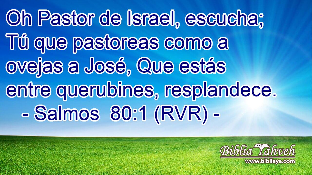 Oh Pastor de Israel, escucha; Tú que pastoreas como a ovejas a José, Que estás entre querubines, resplandece.