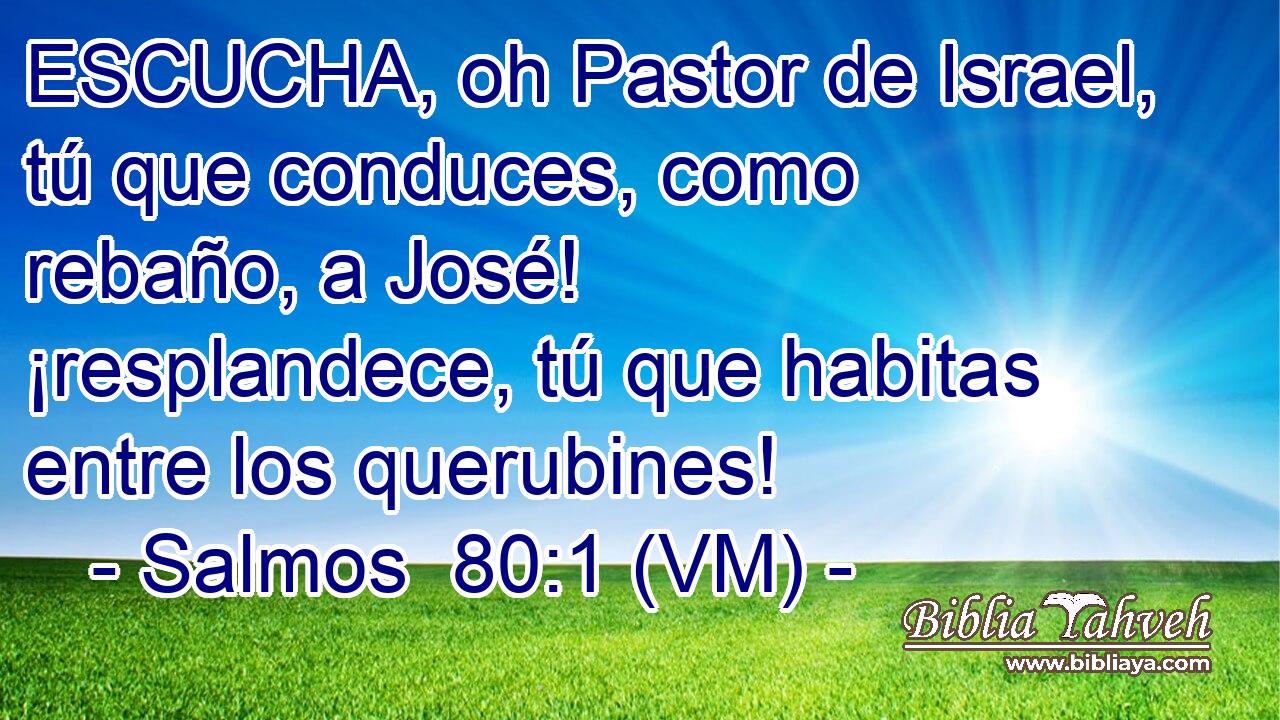  ESCUCHA, oh Pastor de Israel, tú que conduces, como rebaño, a José! ¡resplandece, tú que habitas entre los querubines! 