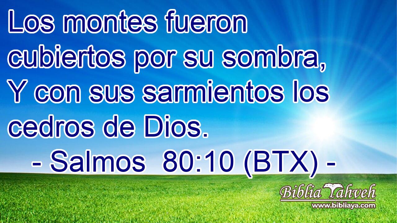 Los montes fueron cubiertos por su sombra, Y con sus sarmientos los cedros de Dios.