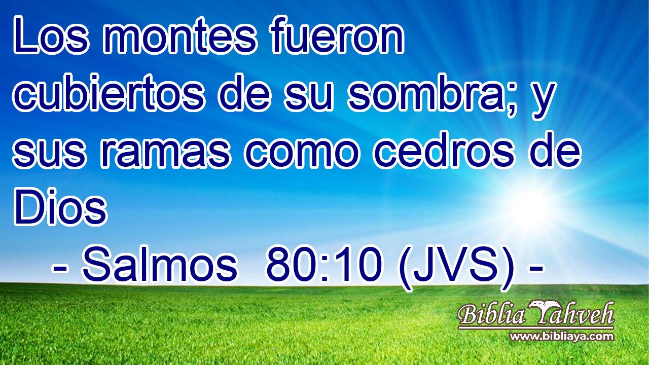 Los montes fueron cubiertos de su sombra; y sus ramas como cedros de Dios