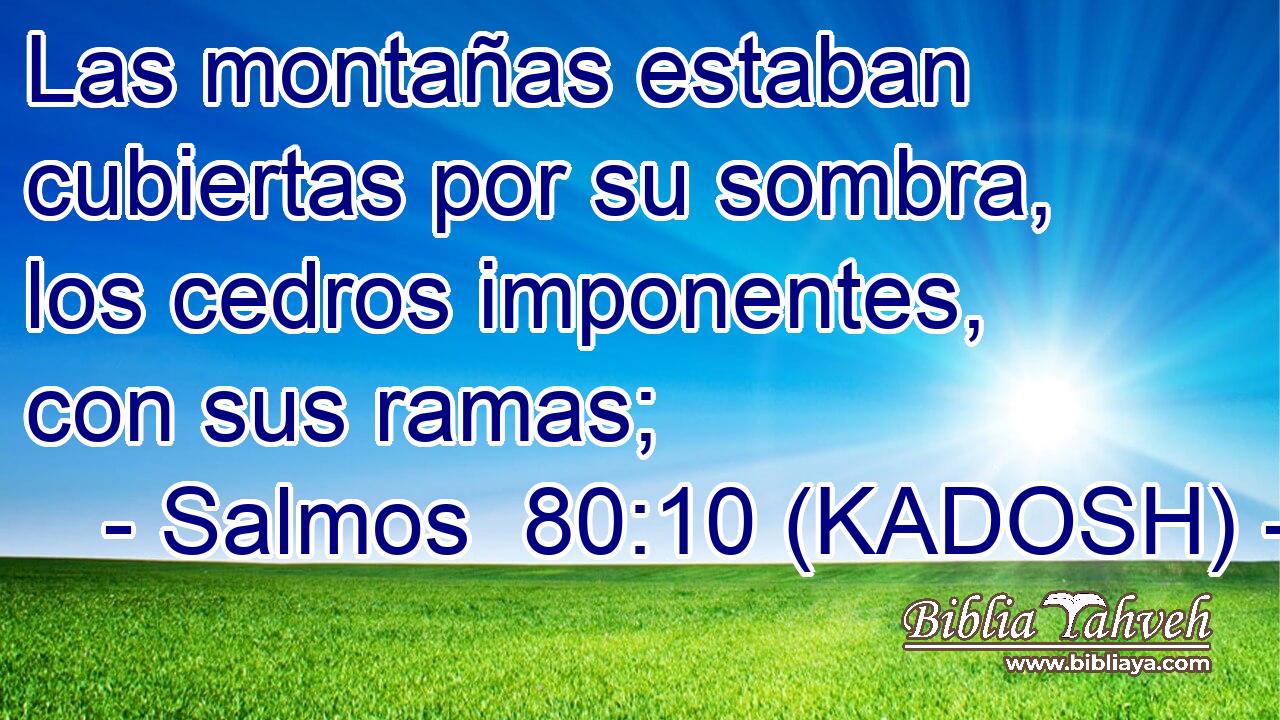  Las montañas estaban cubiertas por su sombra, los cedros imponentes, con sus ramas; 