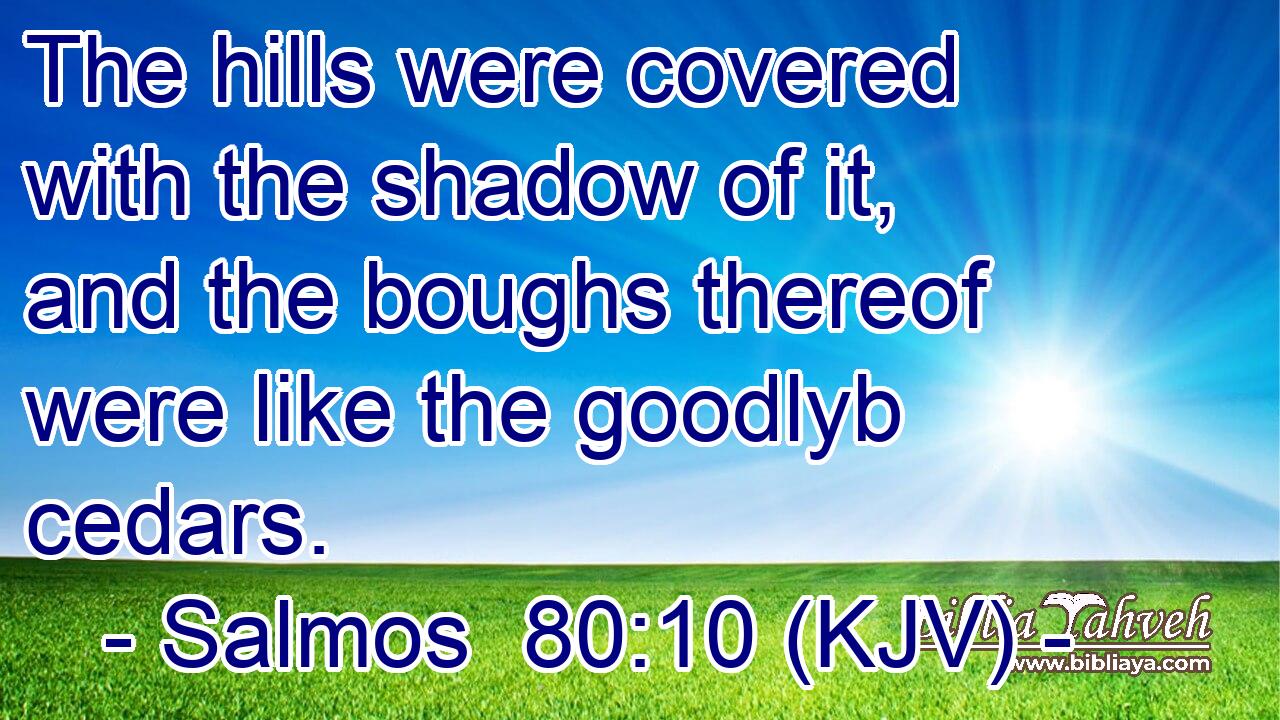 The hills were covered with the shadow of it, and the boughs thereof were like the goodlyb cedars.