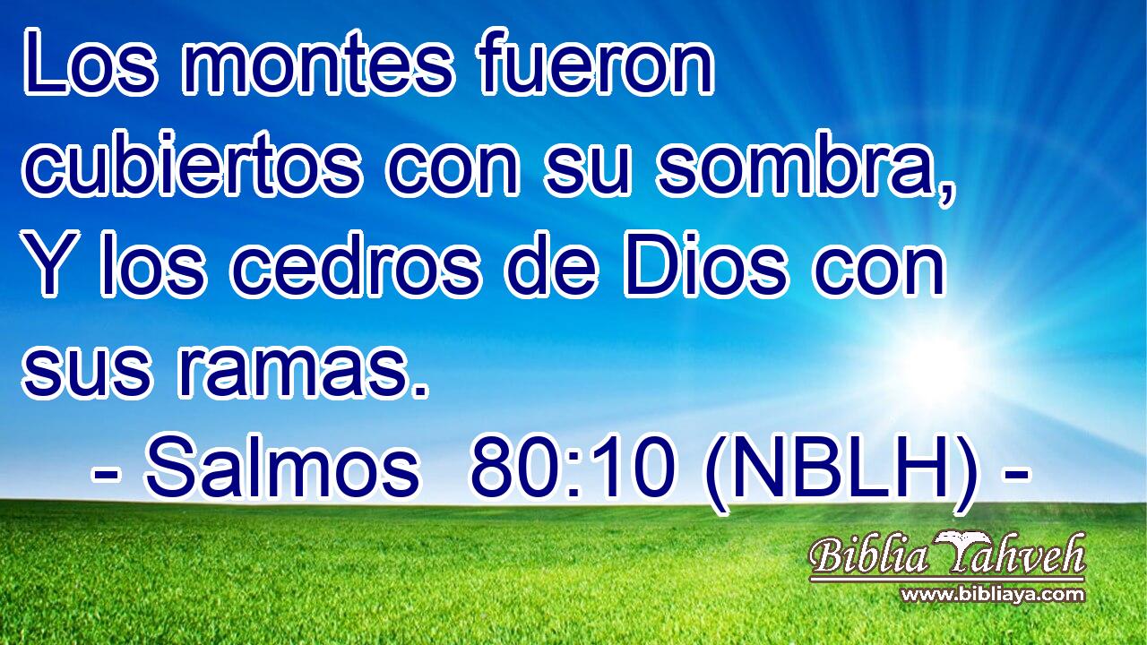  Los montes fueron cubiertos con su sombra, Y los cedros de Dios con sus ramas. 