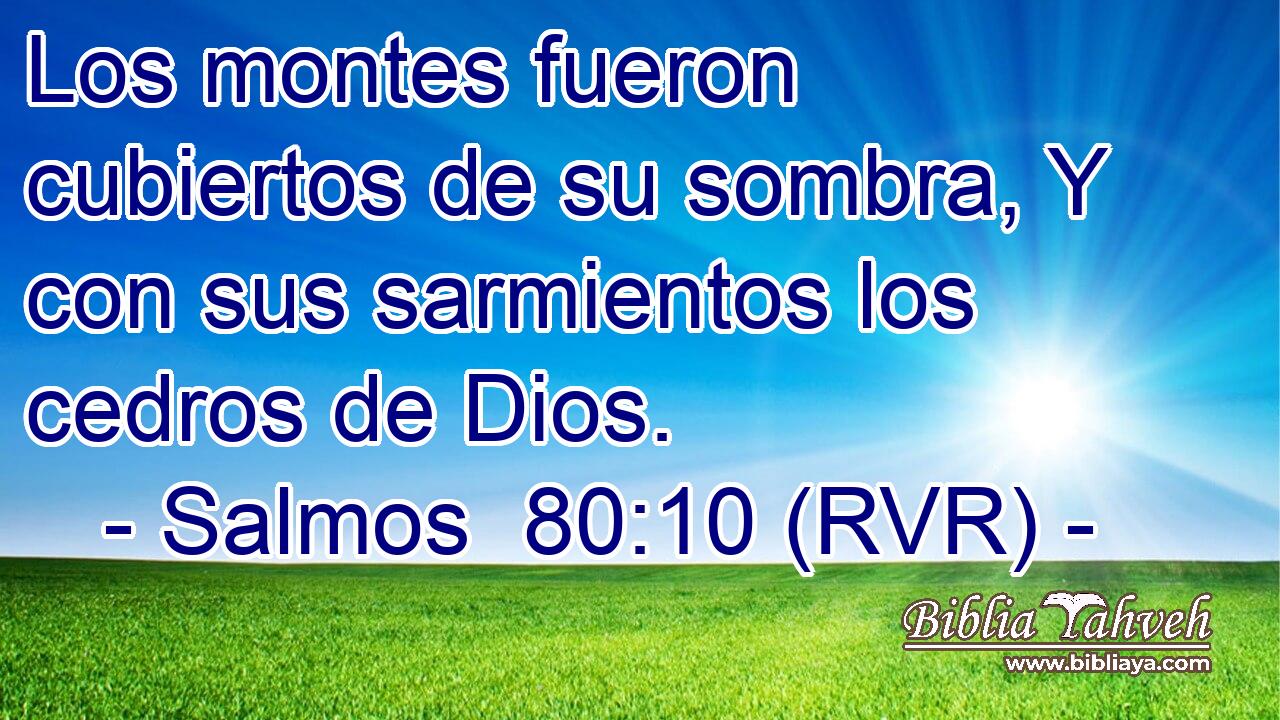 Los montes fueron cubiertos de su sombra, Y con sus sarmientos los cedros de Dios.