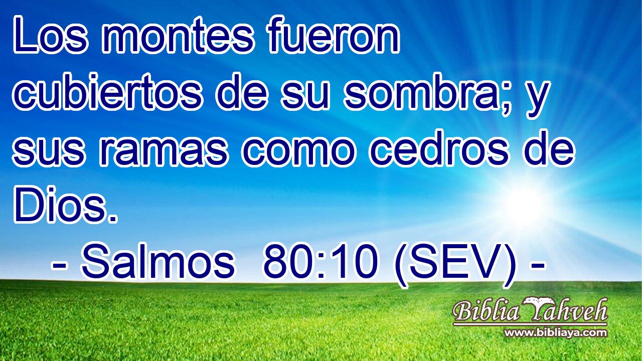 Los montes fueron cubiertos de su sombra; y sus ramas como cedros de Dios.