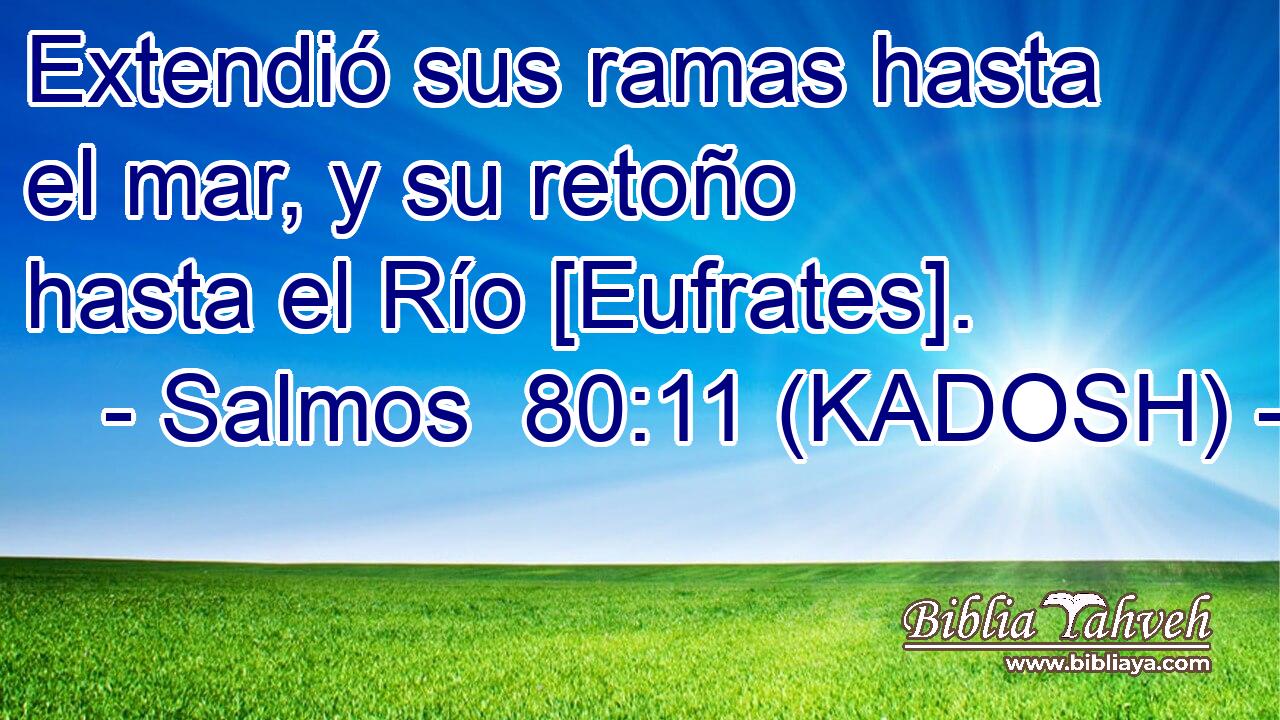  Extendió sus ramas hasta el mar, y su retoño hasta el Río [Eufrates]. 