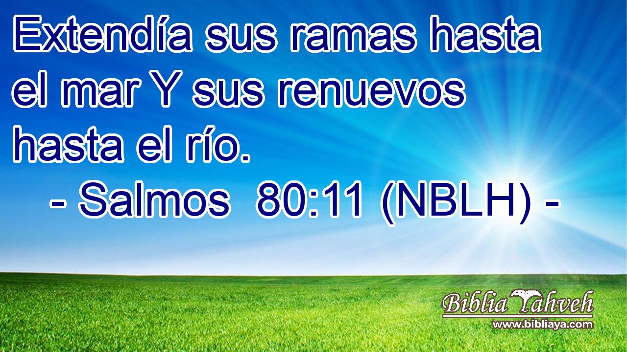  Extendía sus ramas hasta el mar Y sus renuevos hasta el río. 