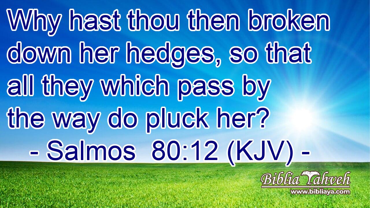 Why hast thou then broken down her hedges, so that all they which pass by the way do pluck her?