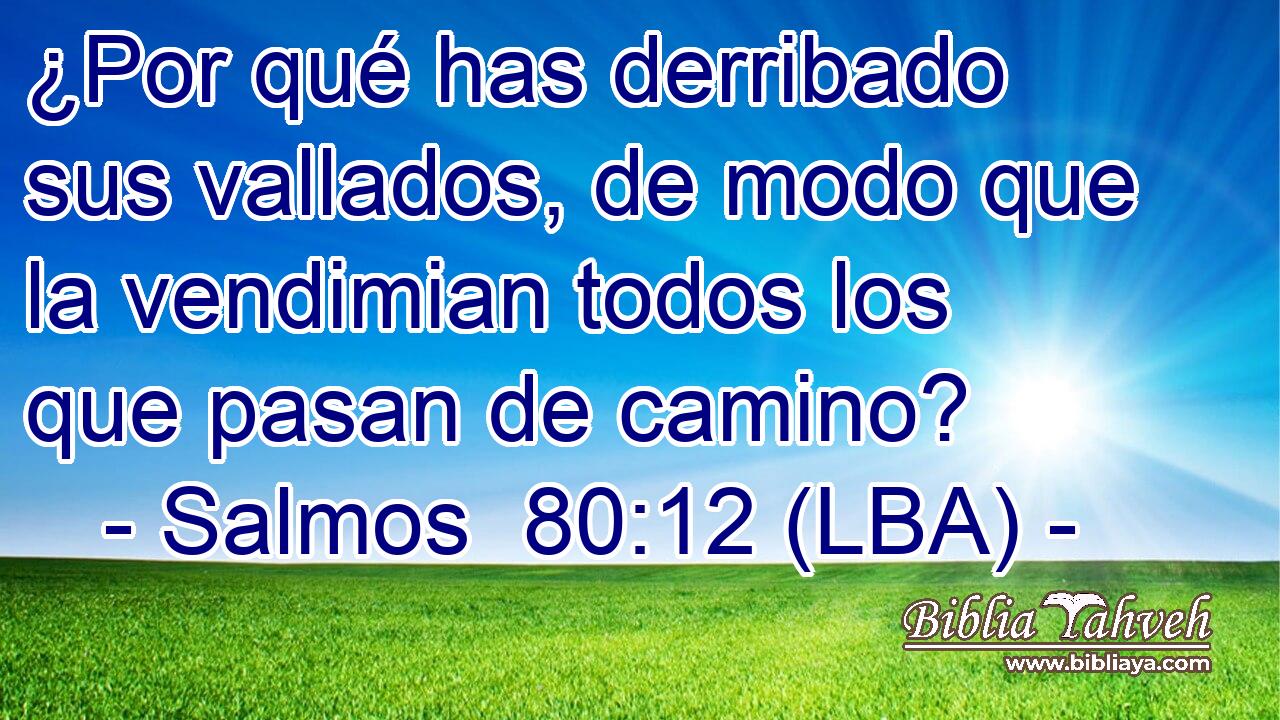 ¿Por qué has derribado sus vallados, de modo que la vendimian todos los que pasan de camino?