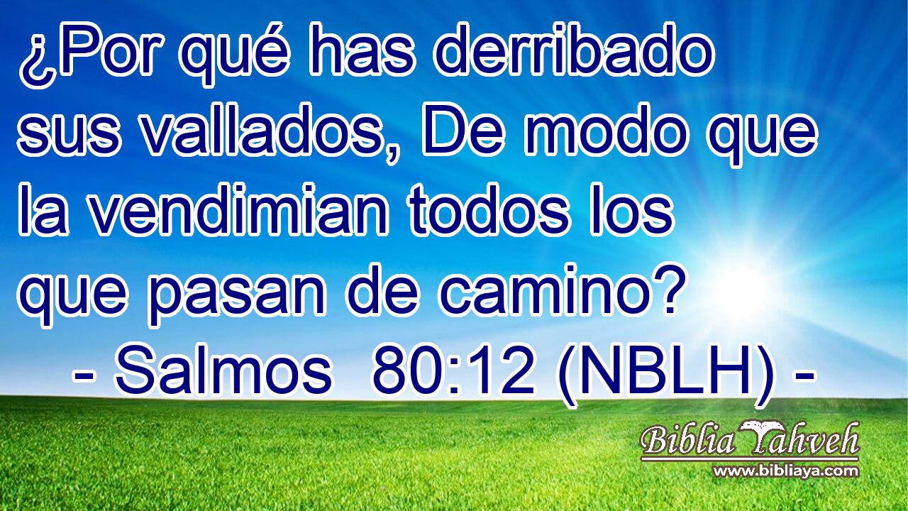  ¿Por qué has derribado sus vallados, De modo que la vendimian todos los que pasan de camino? 