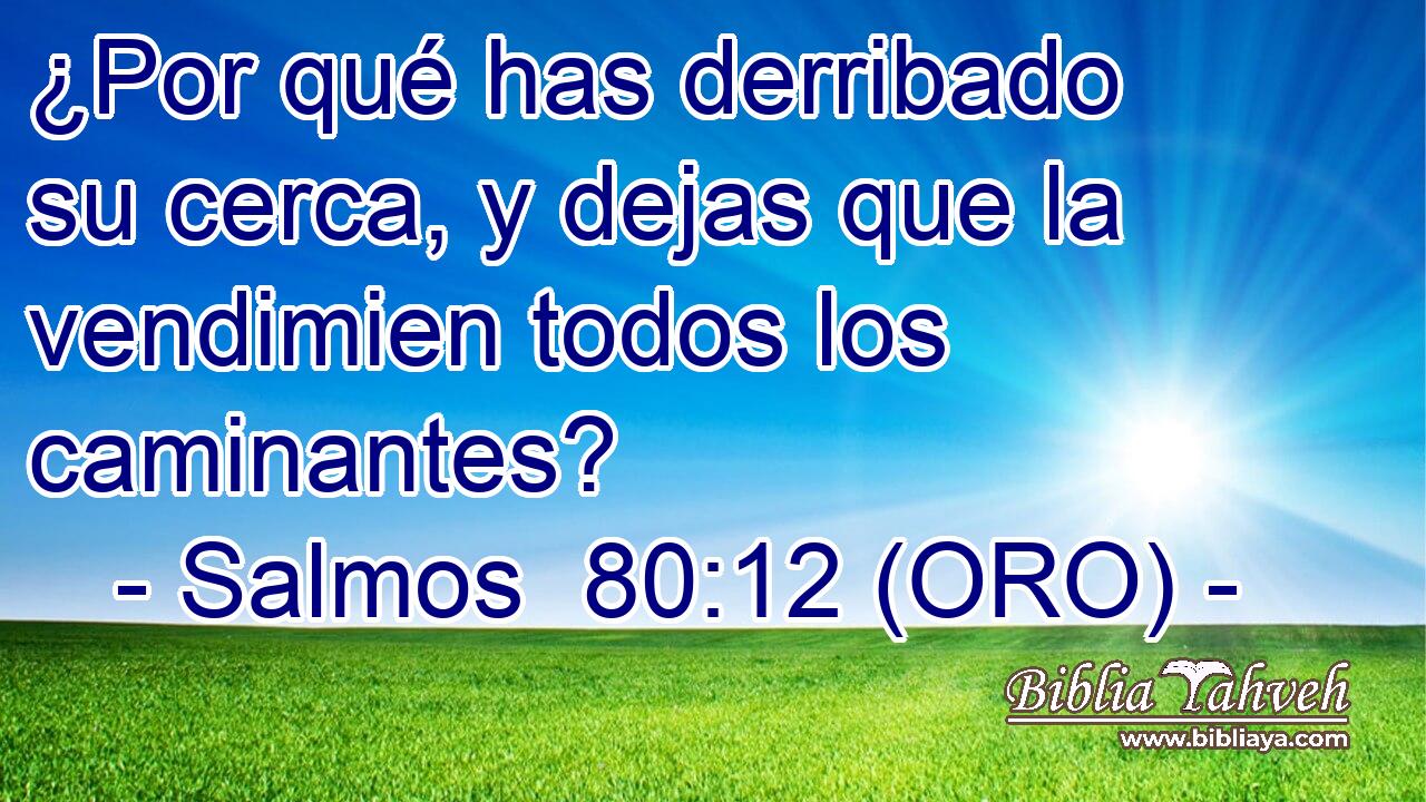  ¿Por qué has derribado su cerca, y dejas que la vendimien todos los caminantes? 