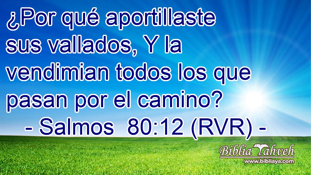 ¿Por qué aportillaste sus vallados, Y la vendimian todos los que pasan por el camino?