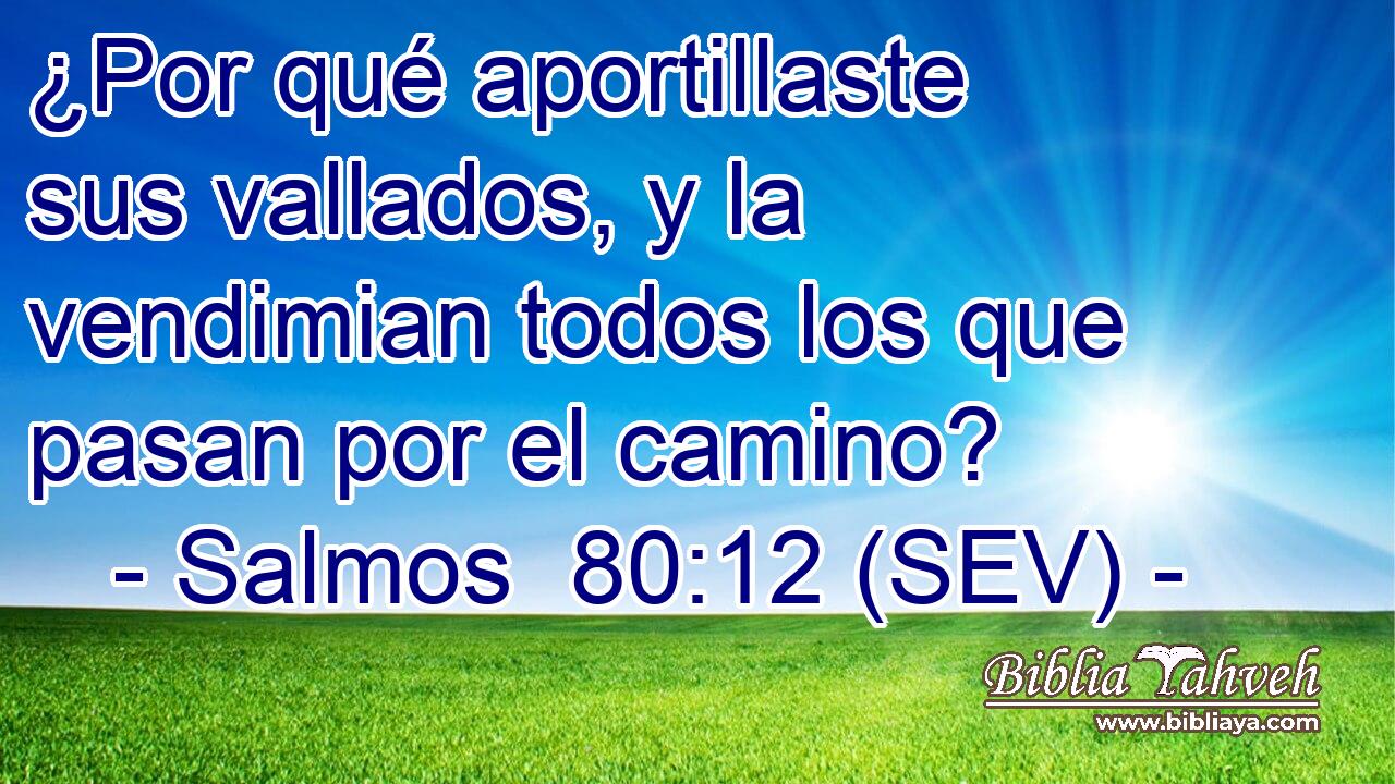 ¿Por qué aportillaste sus vallados, y la vendimian todos los que pasan por el camino?