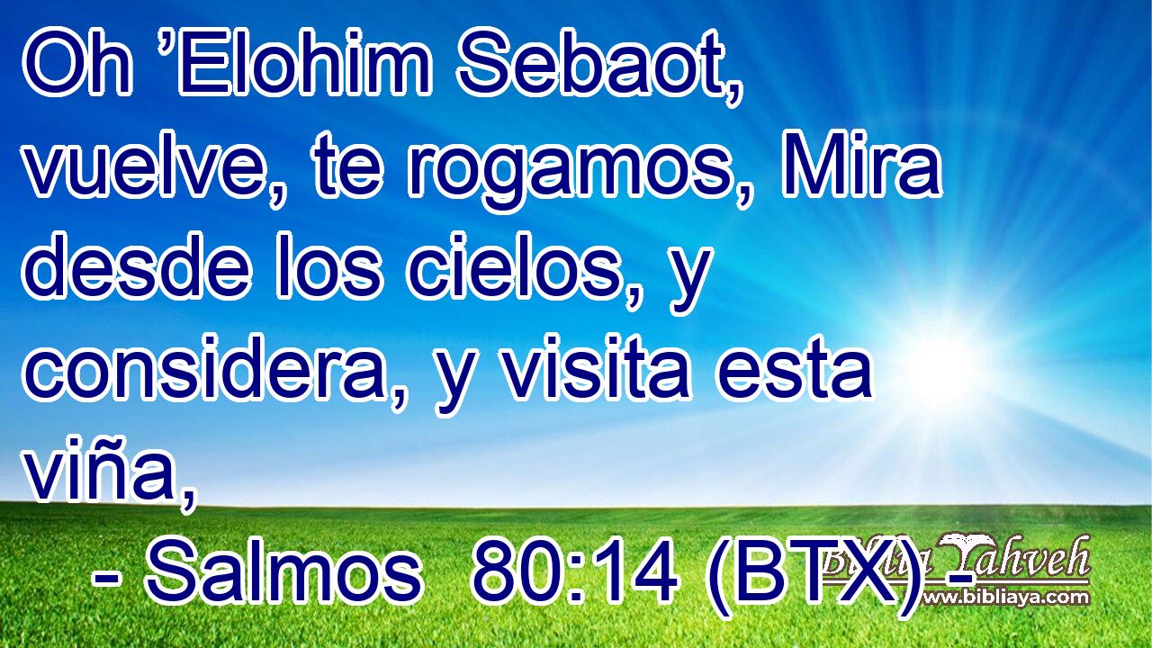 Oh ’Elohim Sebaot, vuelve, te rogamos, Mira desde los cielos, y considera, y visita esta viña,