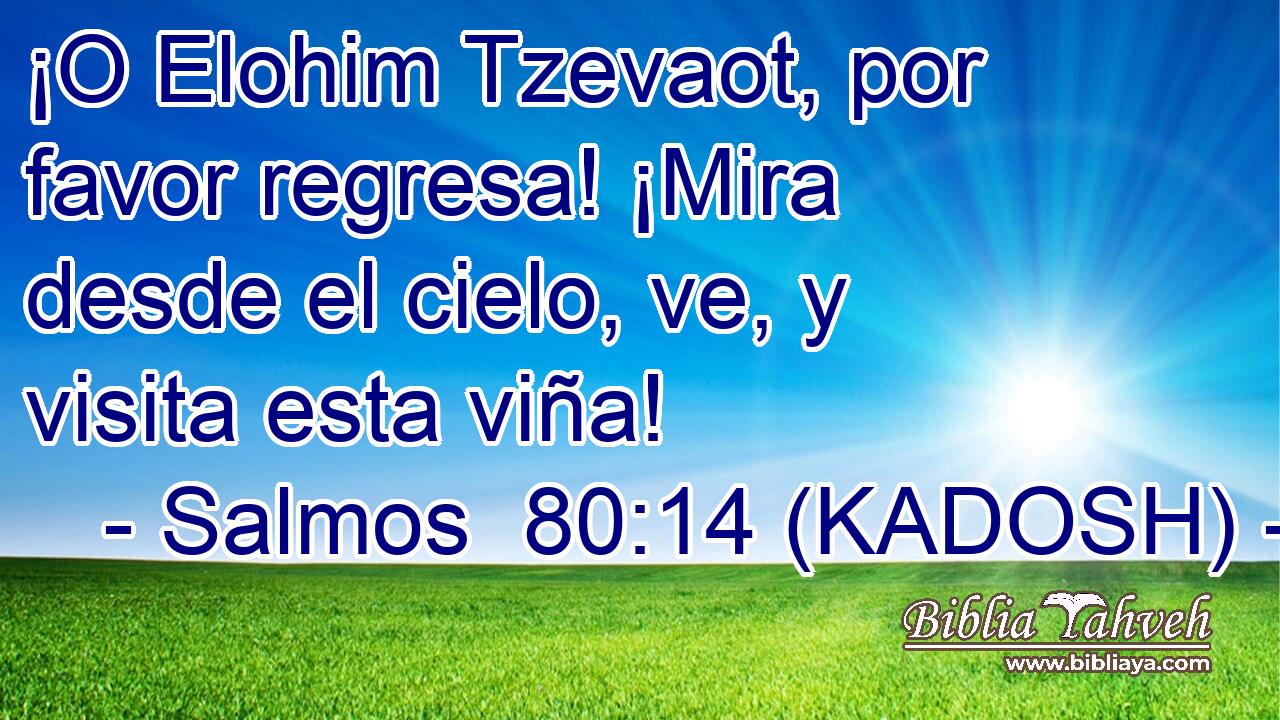  ¡O Elohim Tzevaot, por favor regresa! ¡Mira desde el cielo, ve, y visita esta viña! 
