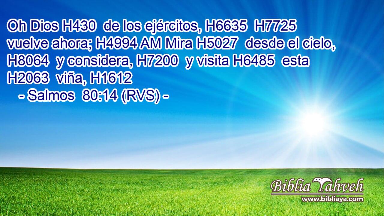 Oh Dios H430  de los ejércitos, H6635  H7725 vuelve ahora; H4994 AM Mira H5027  desde el cielo, H8064  y considera, H7200  y visita H6485  esta H2063  viña, H1612  
