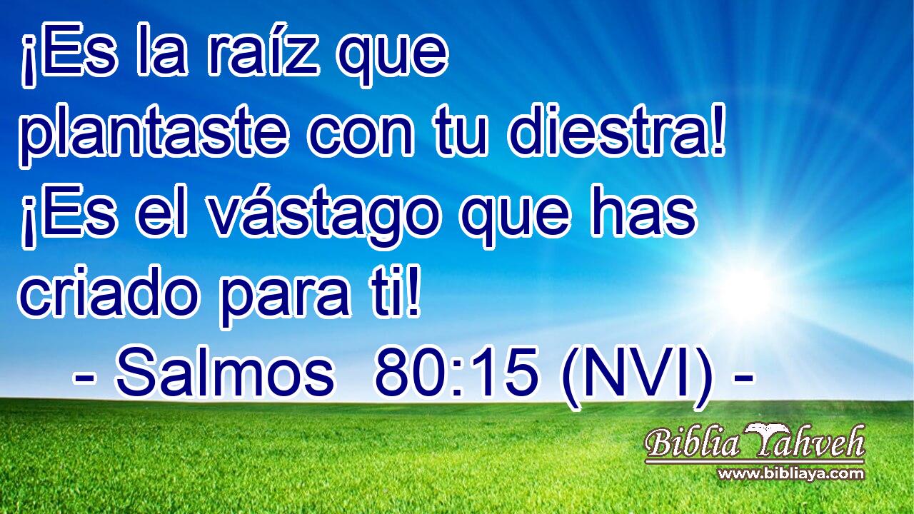 ¡Es la raíz que plantaste con tu diestra! ¡Es el vástago que has criado para ti! 