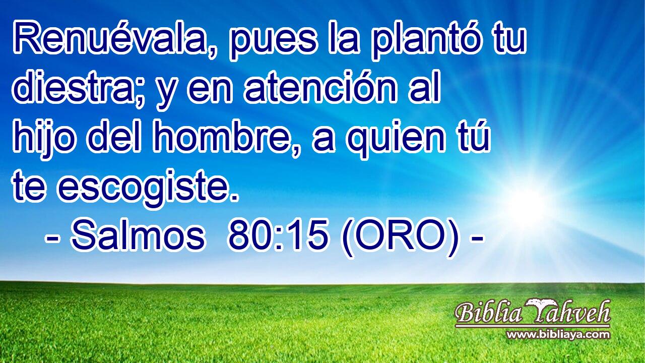  Renuévala, pues la plantó tu diestra; y en atención al hijo del hombre, a quien tú te escogiste. 
