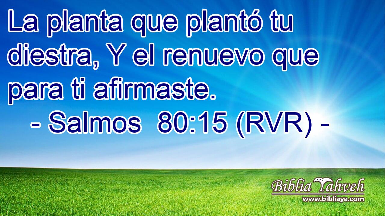 La planta que plantó tu diestra, Y el renuevo que para ti afirmaste.