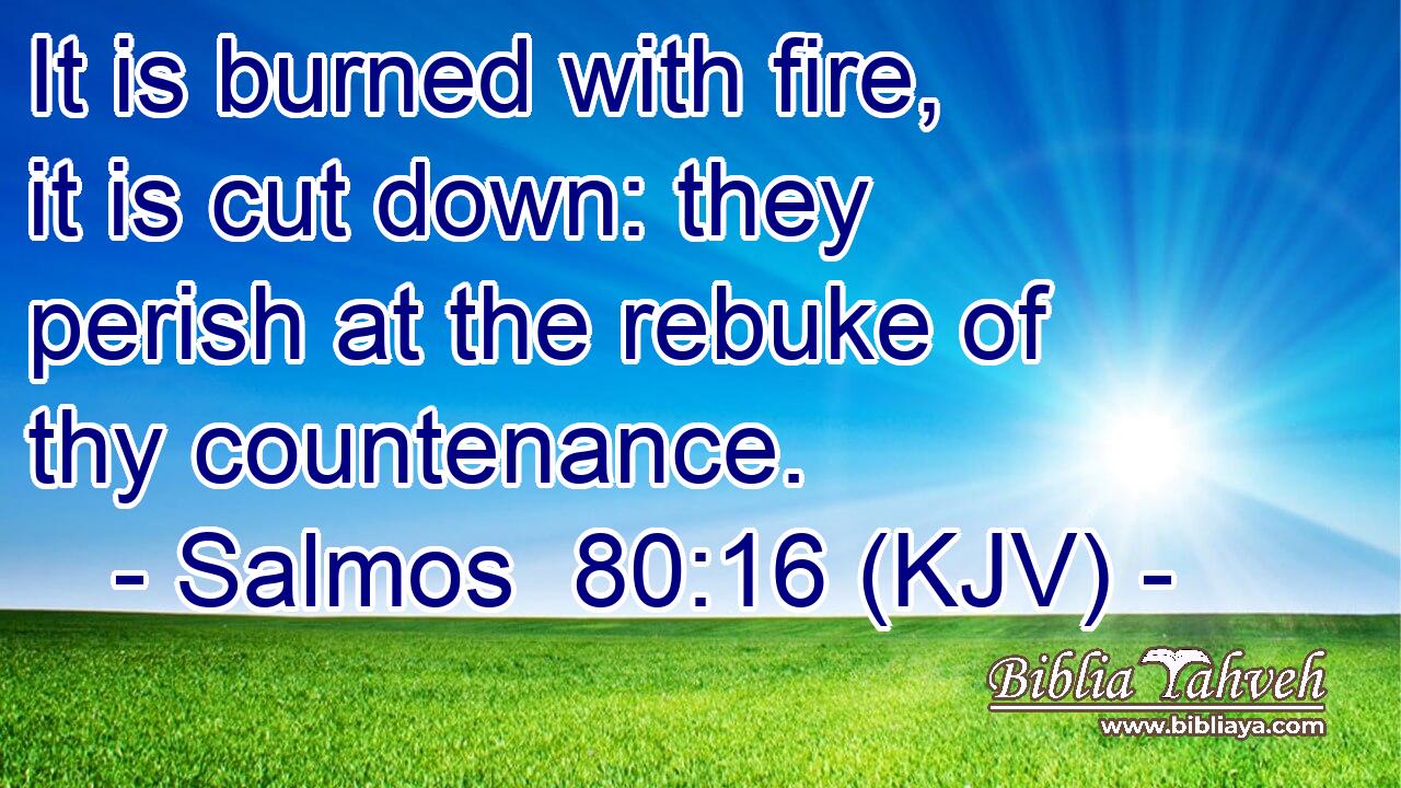It is burned with fire, it is cut down: they perish at the rebuke of thy countenance.