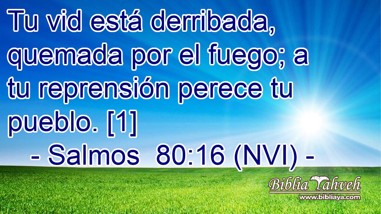  Tu vid está derribada, quemada por el fuego; a tu reprensión perece tu pueblo. [1] 