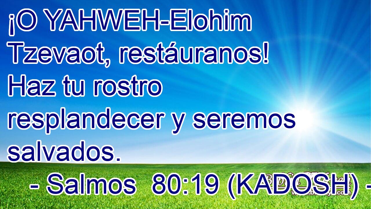  ¡O YAHWEH-Elohim Tzevaot, restáuranos! Haz tu rostro resplandecer y seremos salvados. 