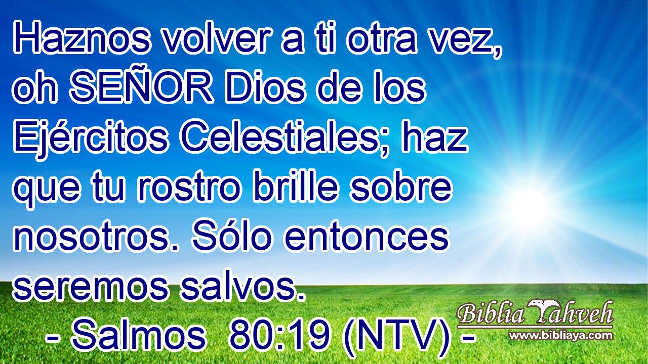 Haznos volver a ti otra vez, oh SEÑOR Dios de los Ejércitos Celestiales; haz que tu rostro brille sobre nosotros. Sólo entonces seremos salvos.