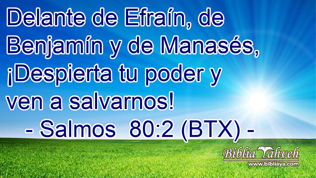 Delante de Efraín, de Benjamín y de Manasés, ¡Despierta tu poder y ven a salvarnos!