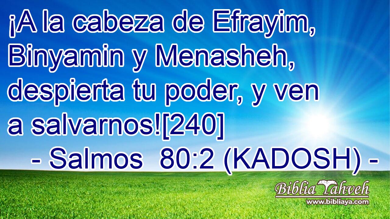  ¡A la cabeza de Efrayim, Binyamin y Menasheh, despierta tu poder, y ven a salvarnos![240] 