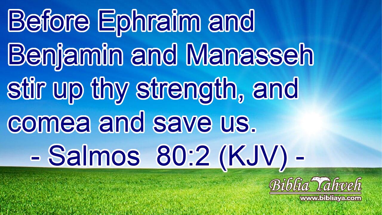 Before Ephraim and Benjamin and Manasseh stir up thy strength, and comea and save us.