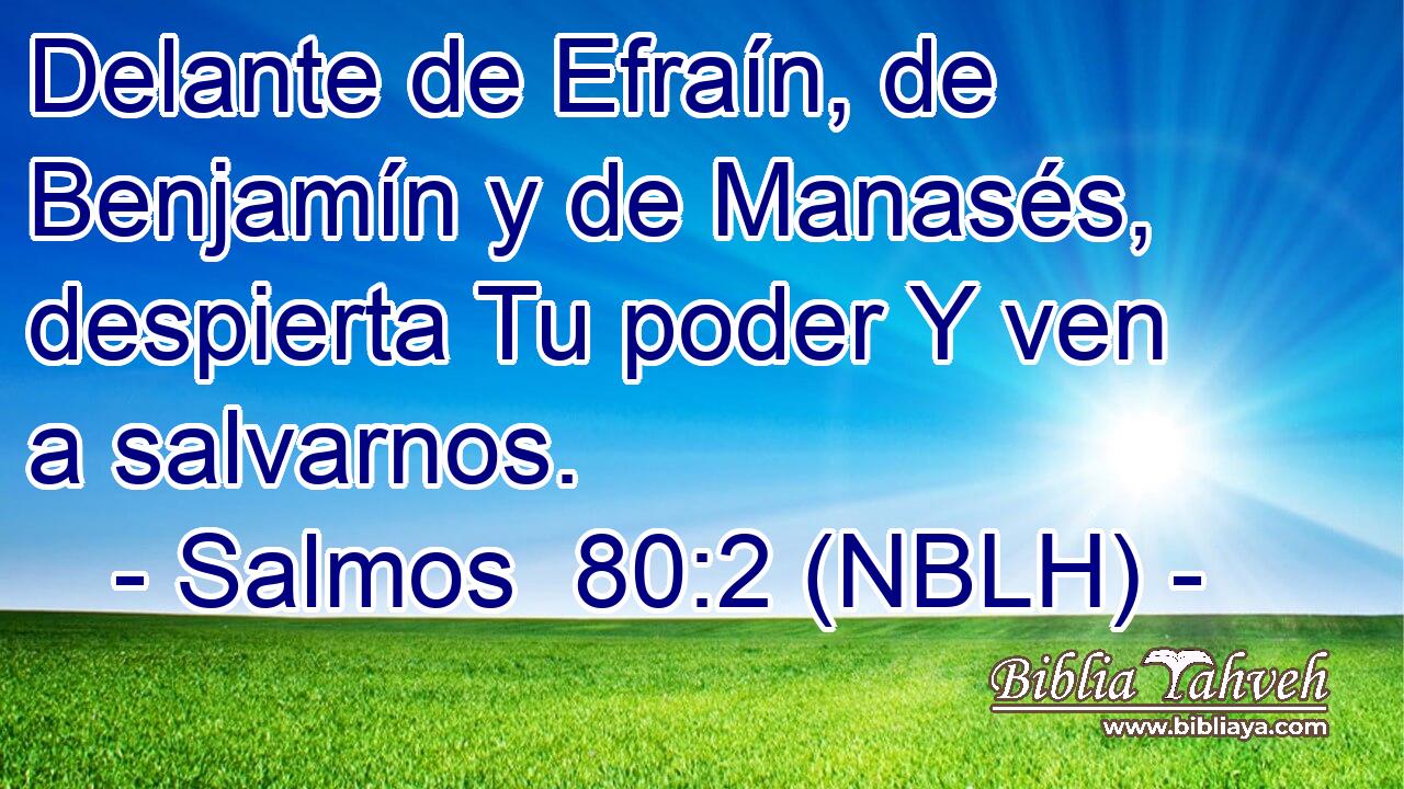  Delante de Efraín, de Benjamín y de Manasés, despierta Tu poder Y ven a salvarnos. 