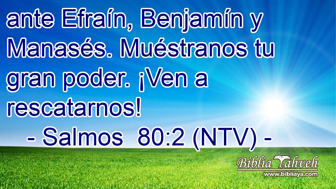 ante Efraín, Benjamín y Manasés. Muéstranos tu gran poder. ¡Ven a rescatarnos!