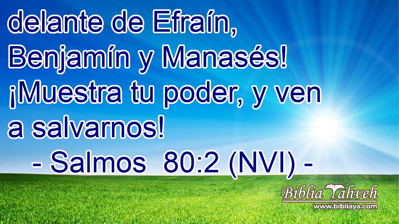  delante de Efraín, Benjamín y Manasés! ¡Muestra tu poder, y ven a salvarnos! 