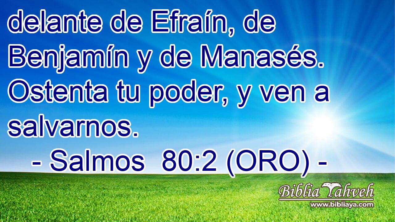  delante de Efraín, de Benjamín y de Manasés. Ostenta tu poder, y ven a salvarnos. 
