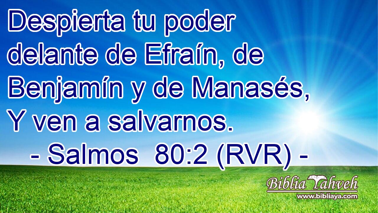 Despierta tu poder delante de Efraín, de Benjamín y de Manasés, Y ven a salvarnos.