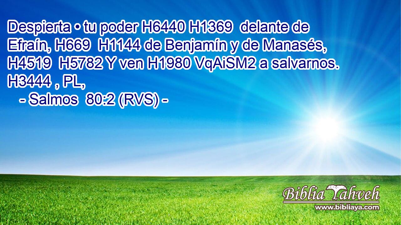 Despierta • tu poder H6440 H1369  delante de Efraín, H669  H1144 de Benjamín y de Manasés, H4519  H5782 Y ven H1980 VqAiSM2 a salvarnos. H3444 , PL,  