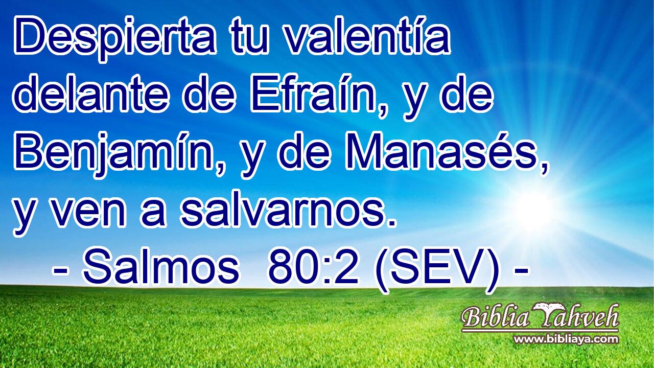 Despierta tu valentía delante de Efraín, y de Benjamín, y de Manasés, y ven a salvarnos.