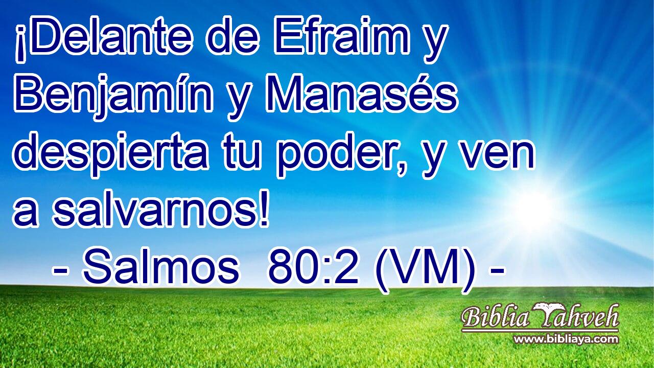  ¡Delante de Efraim y Benjamín y Manasés despierta tu poder, y ven a salvarnos! 