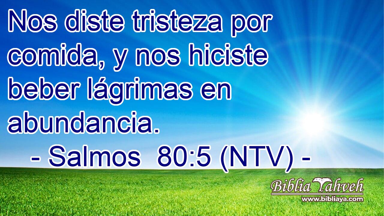 Nos diste tristeza por comida, y nos hiciste beber lágrimas en abundancia.