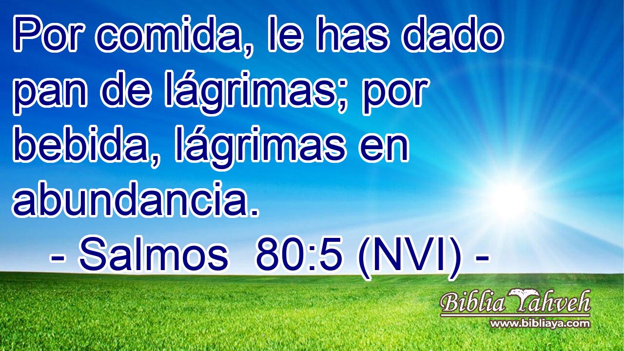  Por comida, le has dado pan de lágrimas; por bebida, lágrimas en abundancia. 