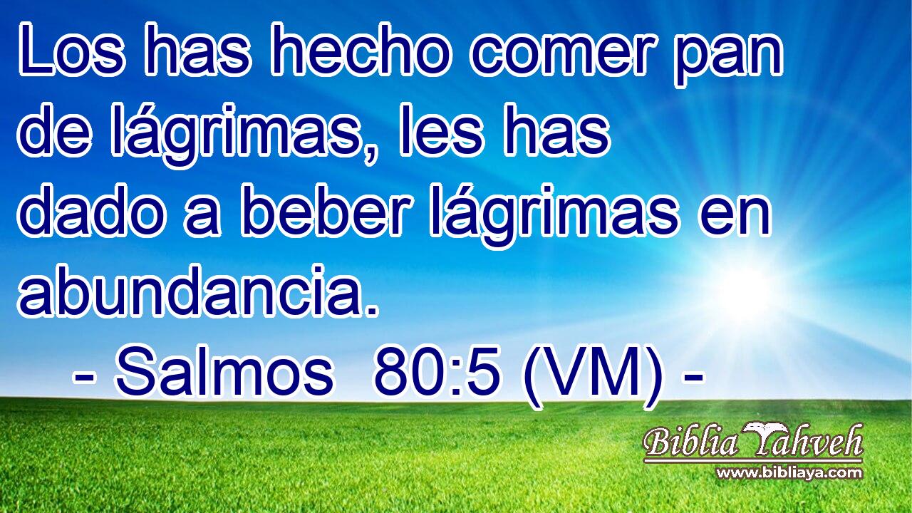  Los has hecho comer pan de lágrimas, les has dado a beber lágrimas en abundancia. 