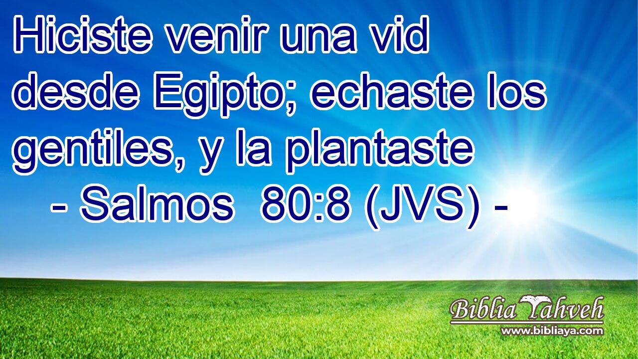 Hiciste venir una vid desde Egipto; echaste los gentiles, y la plantaste