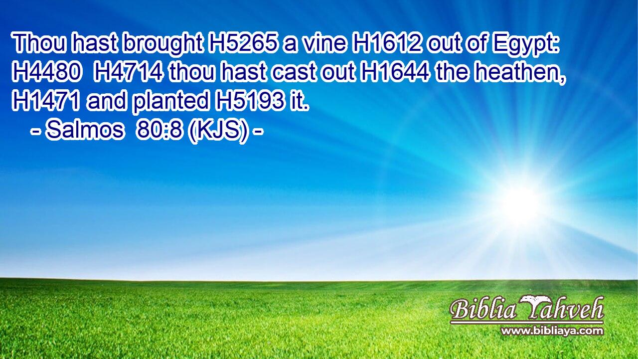 Thou hast brought H5265 a vine H1612 out of Egypt: H4480  H4714 thou hast cast out H1644 the heathen, H1471 and planted H5193 it.