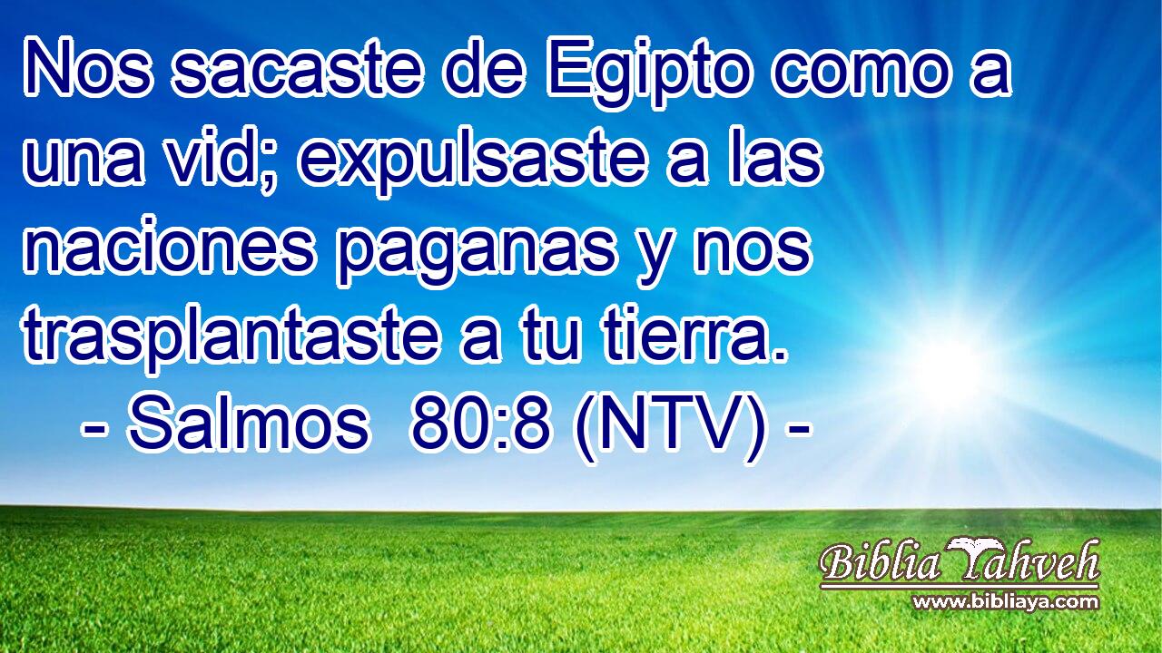 Nos sacaste de Egipto como a una vid; expulsaste a las naciones paganas y nos trasplantaste a tu tierra.
