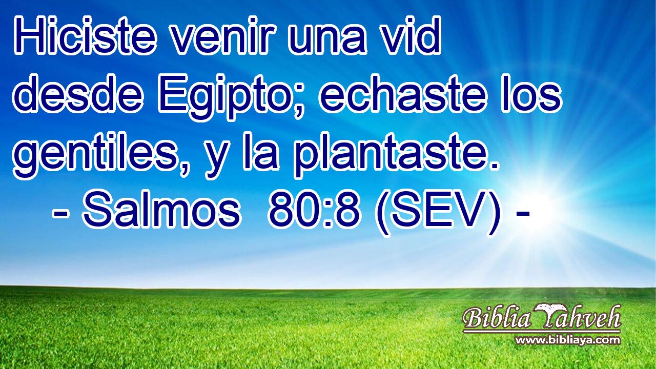 Hiciste venir una vid desde Egipto; echaste los gentiles, y la plantaste.