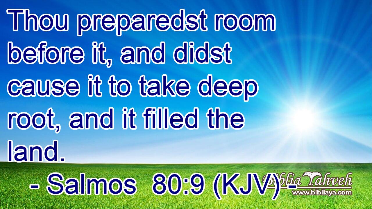 Thou preparedst room before it, and didst cause it to take deep root, and it filled the land.