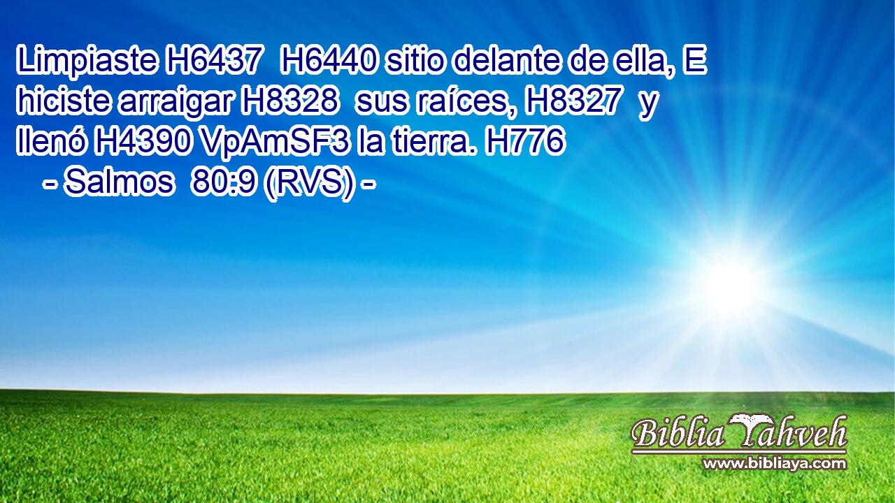Limpiaste H6437  H6440 sitio delante de ella, E hiciste arraigar H8328  sus raíces, H8327  y llenó H4390 VpAmSF3 la tierra. H776  
