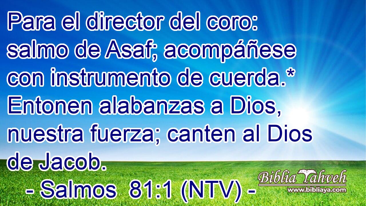 Para el director del coro: salmo de Asaf; acompáñese con instrumento de cuerda.* Entonen alabanzas a Dios, nuestra fuerza; canten al Dios de Jacob.