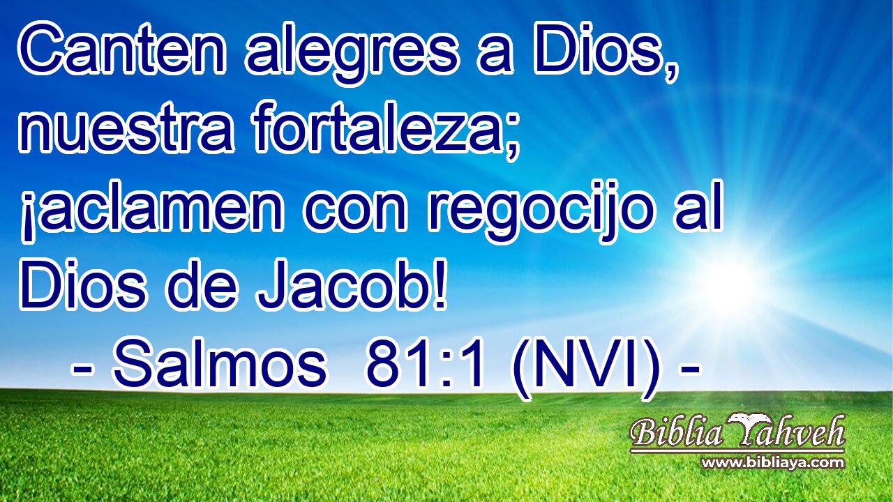  Canten alegres a Dios, nuestra fortaleza; ¡aclamen con regocijo al Dios de Jacob! 