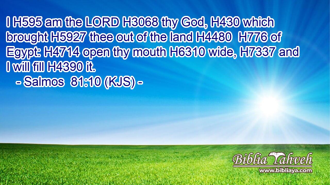 I H595 am the LORD H3068 thy God, H430 which brought H5927 thee out of the land H4480  H776 of Egypt: H4714 open thy mouth H6310 wide, H7337 and I will fill H4390 it.